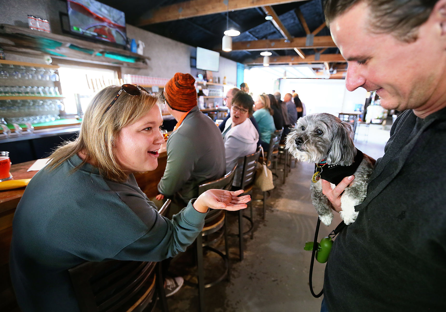 dogs allowed low tide brewing.jpg (copy) (copy)